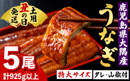 【C57004】《先行予約受付中！土用の丑の日発送》うなぎ蒲焼(有頭)(5尾・計925g以上、タレ、山椒付) 鹿児島 国産 大隅産 鰻 うなぎ ウナギ 蒲焼き うな丼 うな重 ひつまぶし 丑の日発送 