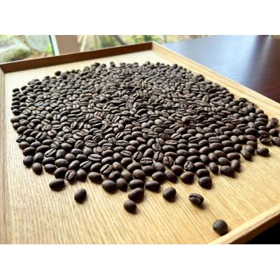 ふるさと納税 大津市 ドラーゴフェリーチェ自家焙煎珈琲豆詰め合わせセット