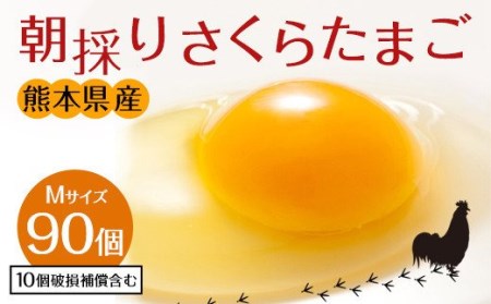 卵 朝採り さくら たまご 90個（Mサイズ）卵 10個破損補償含む