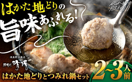 那珂川清滝名物 はかた地どりのつみれ鍋セット 2～3人前 ＜源泉野天風呂 那珂川清滝＞那珂川市 水炊き 水炊き 水炊き 水炊き 水炊き 水炊き [GAS006] 11000 11000円