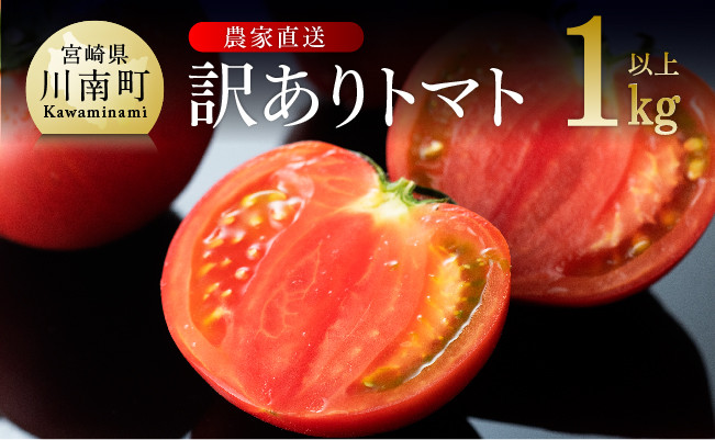 
            【訳あり】宮崎県産とまと 川南町産トマト１ｋｇ（９～１８個） 【 宮崎県産 九州産 川南町産 トマト とまと 野菜 ヘルシー 訳あり わけあり 】
          