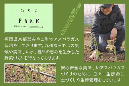 予約受付 数量限定 アスパラガス 夏芽 M~Lサイズ 1kg（500g×2） 2025年6月～8月頃 野菜福岡県 福岡 九州 グルメ お取り寄せ