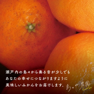 【訳あり】島のね農園の甘平(4kg)【KB01600】【1419486】