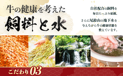 宮崎県産 黒毛和牛 バラ・モモ切り落とし 約750g×1P 冷凍|国産牛 牛肉 お肉 切り落とし スライス バラ モモ パック 化粧箱入り 焼肉 塩 わさび醤油 ポン酢 有田牧畜産業 宮崎県 諸塚村 AR-01