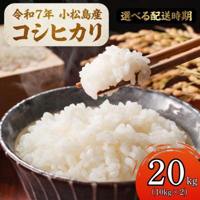 ふるさと納税 小松島市 【配送時期が選べる】米 コシヒカリ 20kg 小松島市 令和7年産 精米 白米