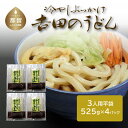 【ふるさと納税】冷しぶっかけ吉田のうどん（3人用平袋 ×4パック） 送料無料　うどん udon お土産 お試し お取り寄せ グルメ 保存食 非常食 訳あり 冷やしうどん 冷やし中華 冷やしそば 麺　ご当地