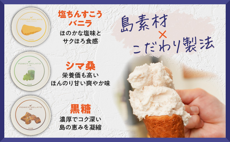 POWER GELATO（定番セット6個入り）　C073-002-01