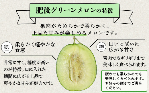 【2026年6月上旬〜順次発送 先行予約】大玉 肥後グリーンメロン 2玉 約4.6kg以上 熊本県産【 果物 フルーツ グリーンメロン 先行予約 4.6kg 青肉 期間限定 数量限定 熊本県 多良木町