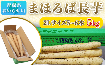 まほろば長芋5kg 【 ふるさと納税 人気 おすすめ ランキング 2L 5kg 長芋 ながいも まほろば 野菜 おいらせ 青森 青森県産 青森県 おいらせ町 送料無料 】 OIT306