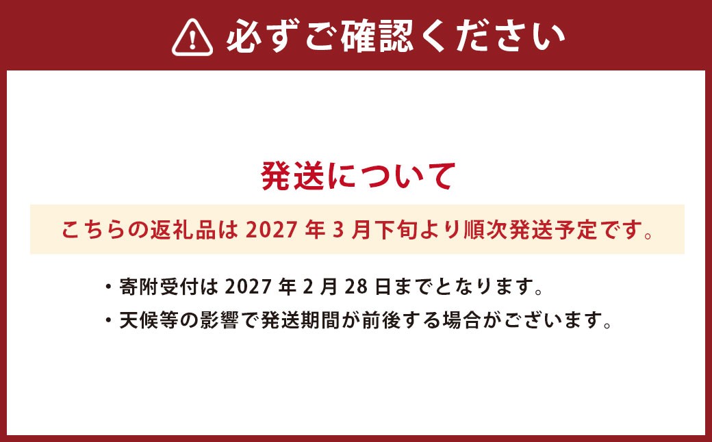 熊本県産清見 約3kg