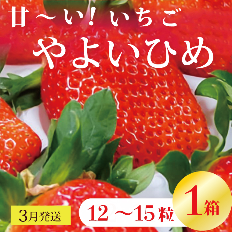 【2026年3月発送】甘～い！いちご やよいひめ 1箱(12粒～15粒入り)｜いちご イチゴ 苺 ストロベリー やよいひめ 果物 くだもの フルーツ 先行予約 茨城県 行方市(V-18)