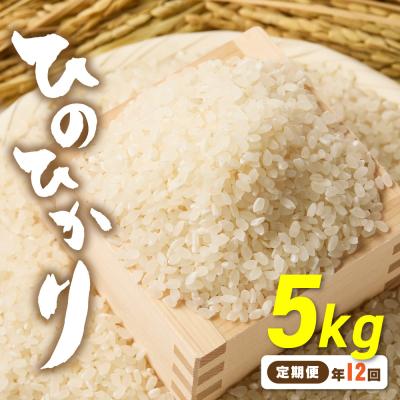 ふるさと納税 宗像市 令和7年産 【定期便/年12回】ひのひかり5kg【ほたるの里】_HB0197