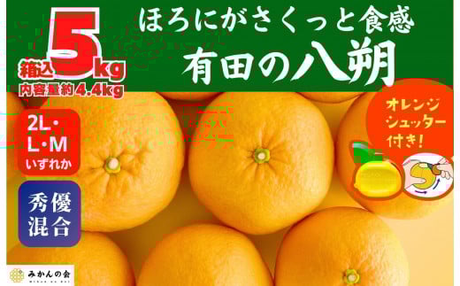 
            八朔 (はっさく) 玉ぞろい 箱込 5kg(内容量約 4.4kg) 2L L Mサイズのいずれか  秀品 優品 混合 和歌山県産  産地直送［おまけ付き］［みかんの会］
          