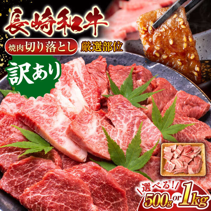【ふるさと納税】【訳あり】【選べる容量】【A4〜A5】長崎和牛焼肉切り落とし(肩ロース・バラ）(500g or 1kg)【株式会社 MEAT PLUS】[QBS003] 和牛 長崎和牛 焼き肉 焼肉 牛肉 国産 訳アリ わけあり 切り落し きりおとし a4 a5 やきにく 12000円 2万円 以下 24000円