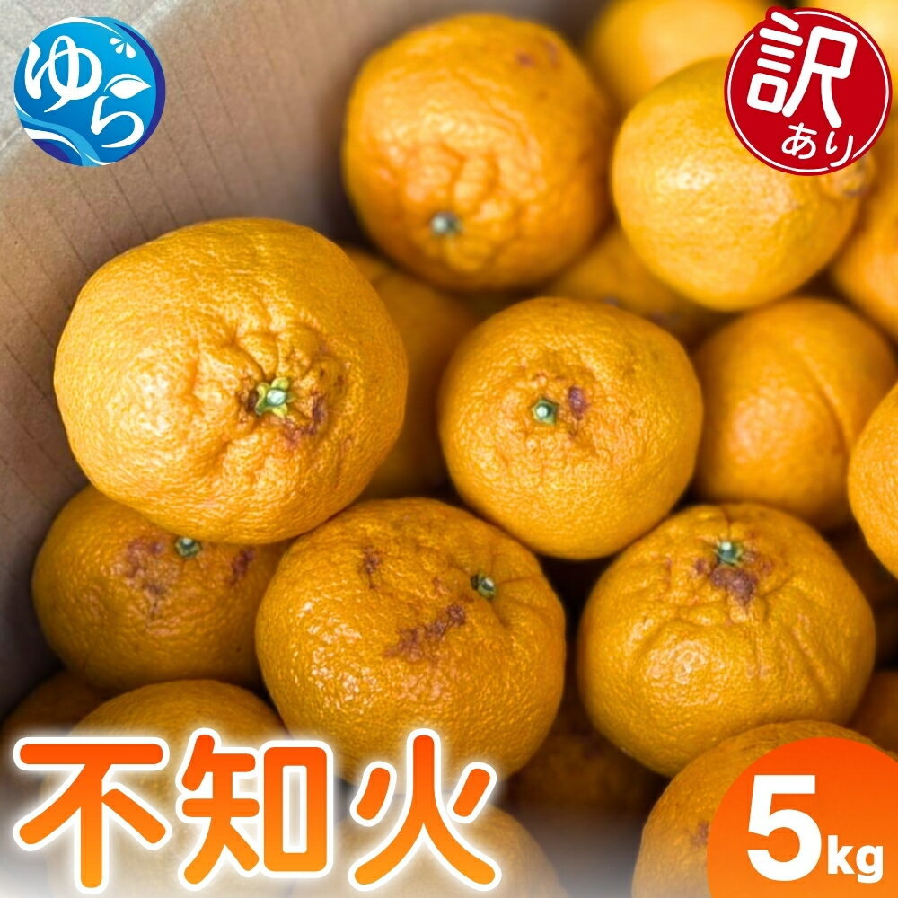 【ふるさと納税】 訳あり しらぬい 5kg （サイズ混合） / 不知火 柑橘 果物 和歌山 ※2027年2月上旬～3月上旬頃に順次発送予定 ※北海道・沖縄・離島配送不可