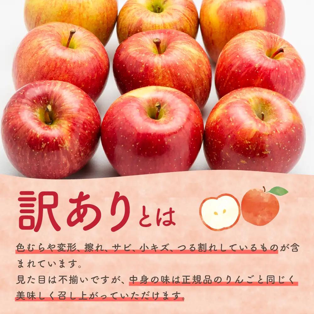 【2026年7月上旬発送】【訳あり】りんご有袋ふじ5kg(スマートフレッシュTM貯蔵又はCA貯蔵・クール便)