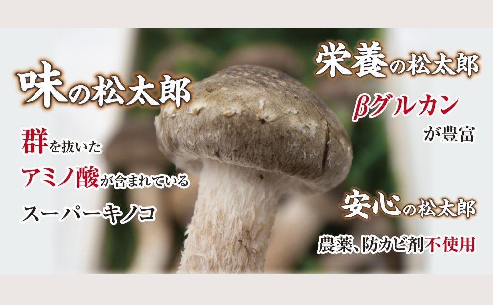松太郎ギフト（生詰め合わせ）【夏季冷蔵便対応】