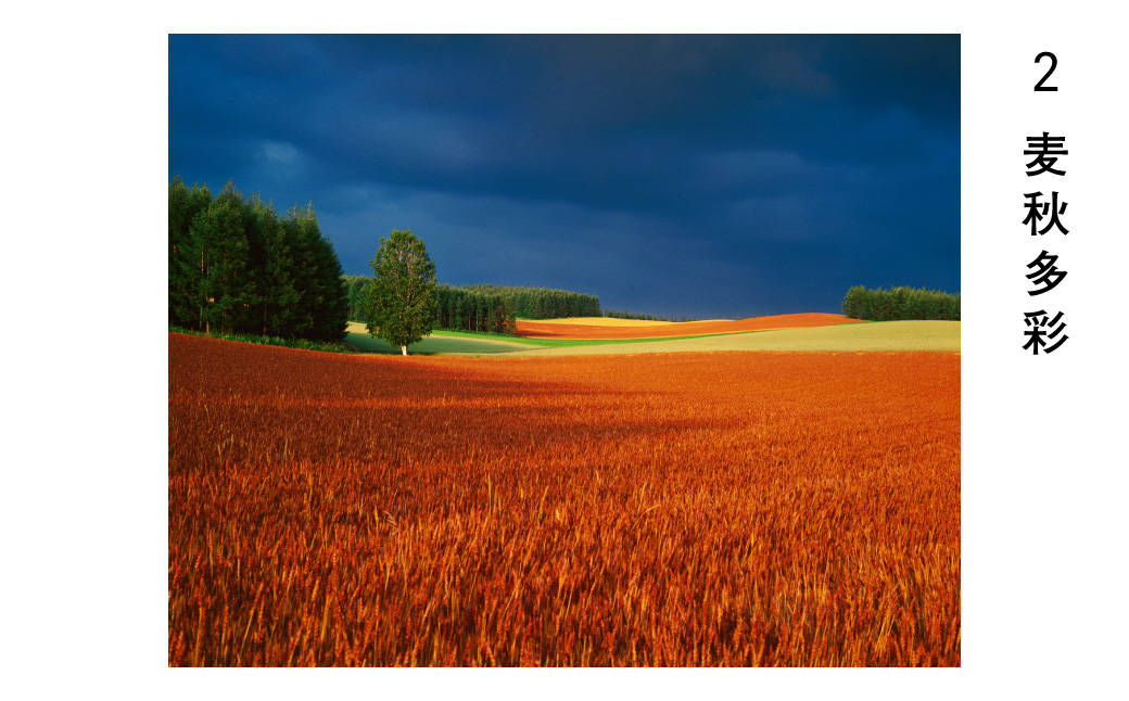 [048-04]前田真三 額付き写真（白木額） キャビネサイズ