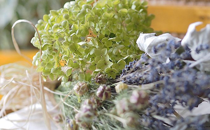 アナベルとホワイトポプラのブーケ【富良野 花七曜 】 植物 ドライフラワー インテリア