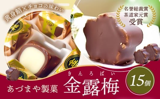 和菓子 黄身餡子 チョコレート 金露梅 15個 あづまや製菓有限会社 《30日以内に出荷予定(土日祝除く)》 徳島県 美馬市 阿波 郷土銘菓 自家製黄身餡 チョコ 名誉総裁賞 茶道家元賞 贈り物 お茶請け