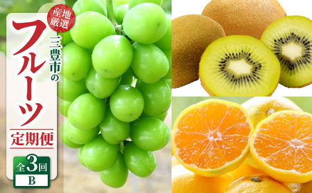 【ふるさと納税】産地厳選三豊のフルーツ3回定期便B