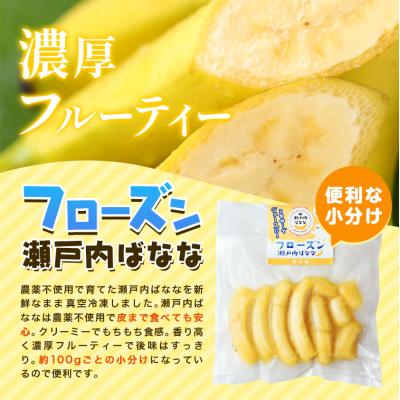 ふるさと納税 笠岡市 フローズン瀬戸内ばなな　P-02 |  | 02