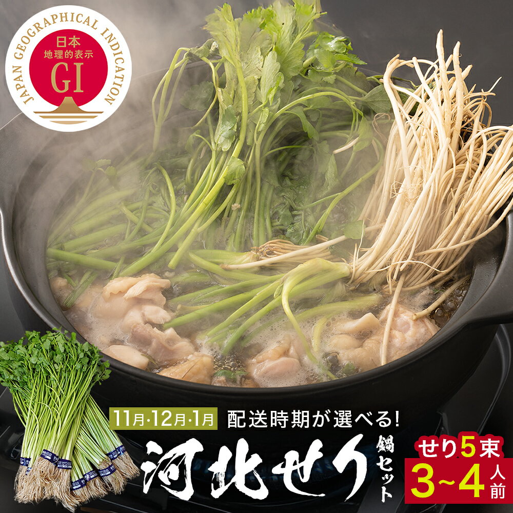 【ふるさと納税】＜配送月が選べる＞ せり鍋セット せり5束 3-4人前 河北せり 鍋 せり 鍋セット 具材入り 宮城県産 セリ鍋 芹 根せり 根っこ 宮城県 石巻市 長ねぎ パックご飯 スープ 鶏もも肉 セリ セリ鍋 野菜 鍋 しゃぶしゃぶ お取り寄せ グルメ 人気 ご当地鍋
