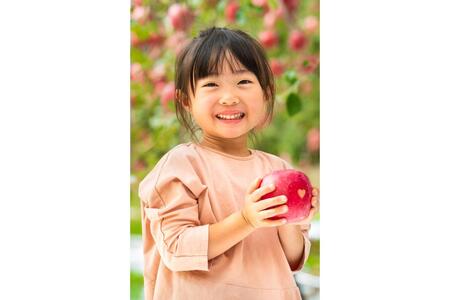 【2026年12月中旬発送】【家庭用】 りんご 約5kg サンふじ 青森県産 葉とらずりんご