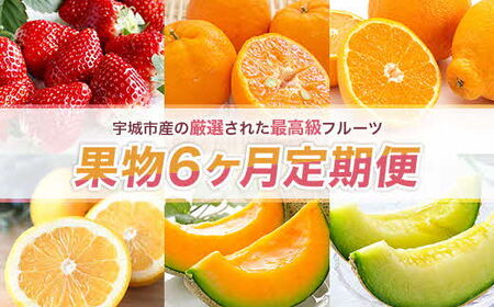 【先行予約】果物6か月定期便 合計6回 いちご 1kg ぽんかん 4.5kg デコポン 2kg ジューシーオレンジ 4.5kg クインシーメロン 2kg 肥後グリーン 1.3kg 定期便 定期 頒布 フルーツ くだもの イチゴ 苺 不知火 メロン 熊本 宇城市 くまふる 【2026年1月上旬から順次発送予定】