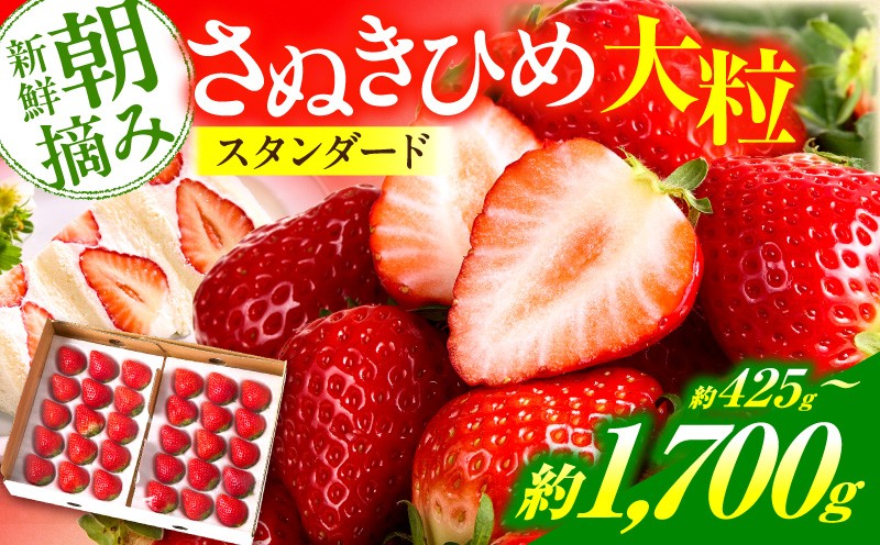 
                  【先行予約】【内容量が選べる】苺音スタンダード ～春の大粒のさぬきひめいちご～ 約425g ～1,700g | スイーツ いちご イチゴ ストロベリー さぬきひめ さぬき姫 苺 冷蔵 フルーツ 旬 果物 香川県 デザート 青果物 おすすめ |_mk137-003-SKU
                