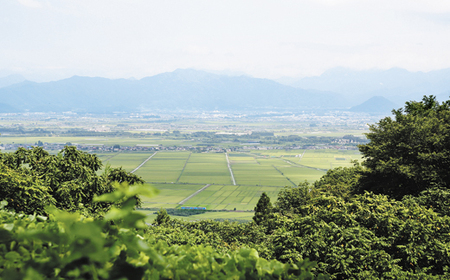 ≪順次発送≫【Yonetomi】RIGID CASHMERE KNIT SWEATER カシミヤセーター 服 洋服 ユニセックス メンズ レディース ブランド 数量限定 山形県 山辺町 yt-ytsw