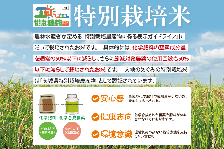 【令和7年9月20日以降順次発送】【先行予約】新米令和7年産 茨城県特別栽培認証 清明川コシヒカリ白米5kg【米 おこめ こしひかり  特別栽培米 農家直送 直送 茨城県 阿見町】(04-01-1)