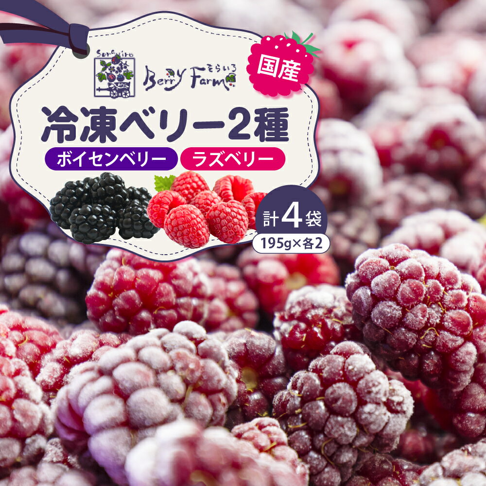 【ふるさと納税】冷凍 ベリー 2種 セット | 冷凍フルーツ フルーツ 果物 フルーツ 果実 食品 デザート グルメ ラズベリー ボイセンベリー 詰め合わせ おやつ 冷凍食品 お取り寄せ お取り寄せグルメ 送料無料 山形県 東根市