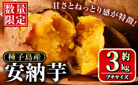 n224 ＜期間限定！＞種子島産 安納芋(プチサイズ3kg) 国産 安納芋 紅 種子島 芋 イモ いも さつまいも さつま芋 安納いも セット 詰め合わせ スイーツ 野菜【種子島安納大地】