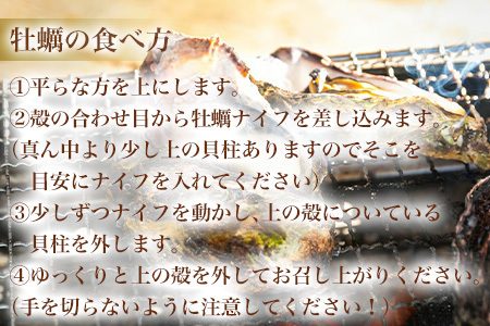 『先行予約』【12月中旬より順次発送】唐津産 殻付きいろは牡蠣 6kg(軍手・ナイフ付)期間限定 産地直送 殻付き 牡蠣 カキ 殻付き牡蠣 佐賀県 海鮮 BBQ 加熱用 お取り寄せ 贈り物 冬ギフト