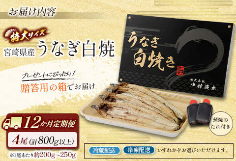 ＜12か月定期便＞【玄人の一品】うなぎ白焼き 4尾 計800g以上【G39】