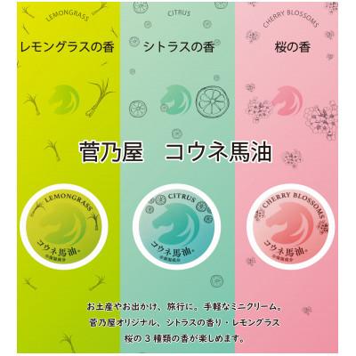 ふるさと納税 御船町 菅乃屋クリーム3種6個セット