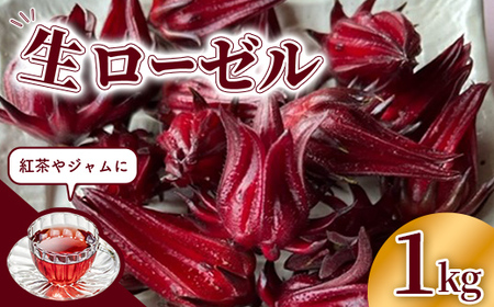 【先行受付】生ローゼル約１キロ - 2025年11月以降順次発送 ハイビスカスローゼル フレッシュ ハーブ ビタミン ミネラル クエン酸 アントシアニン ポリフェノール 国産 沖縄県産 沖縄県 八重瀬町