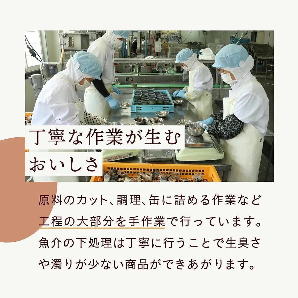 【TVで紹介されました】缶詰 いわし水煮 180g×12個 無添加 無着色 長期保存 非常食 缶詰