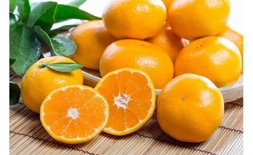 N-44 大鋸農園の甘果坊 １０ｋｇ