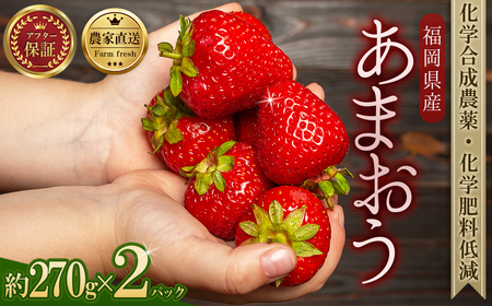 農家直送！特別栽培 あまおう 約270ｇ前後 × 2パック ふるさと納税 いちご イチゴ 苺 赤村 果物 くだもの フルーツ ジャム にも ケーキ にも 先行予約 数量限定 ふるさと ランキング 人気 おすすめ 福岡 3W19
