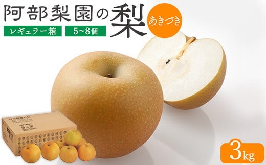 阿部梨園の梨（3kg　レギュラー箱）あきづき ※2026年9月～発送