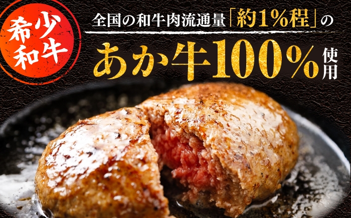 牛肉ハンバーグ あか牛 赤牛 個包装 肉汁 たっぷり くまモンパッケージ 牛肉 肉 冷凍 小分け 惣菜 生タイプ 定期便