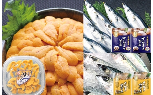 A-71057 エゾバフンウニ塩水パック約60g～70g×1P・さんま旨煮×2P・さば味噌煮×2P[10月下旬以降発送]