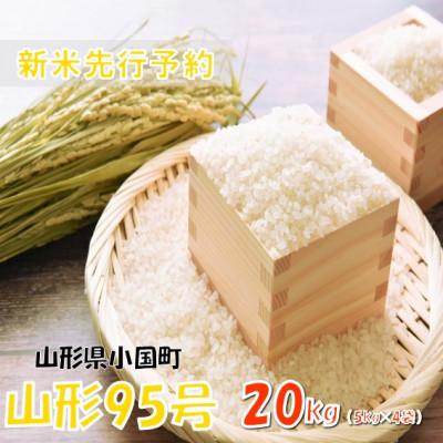 ふるさと納税 小国町 【令和8年産新米 先行予約】山形95号20kg(5kg×4袋)　おぐにのこめ