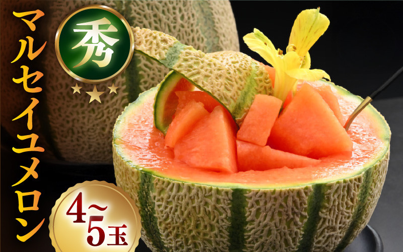 
            【先行予約】＜秀品＞ マルセイユメロン 約5kg 4～5玉入 / 果物 フルーツ 赤肉 メロン 農家直送 贈り物 ※2025年6月上旬以降発送
          