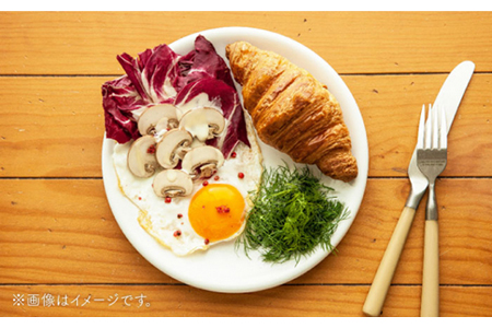 【美濃焼】DINING プレートセット ココナッツ【ZERO JAPAN】 食器 うつわ カレー皿 パスタ皿 ケーキ皿  皿 ワンプレート ランチ プレート 美濃焼 おしゃれ 食器セット お皿セット 