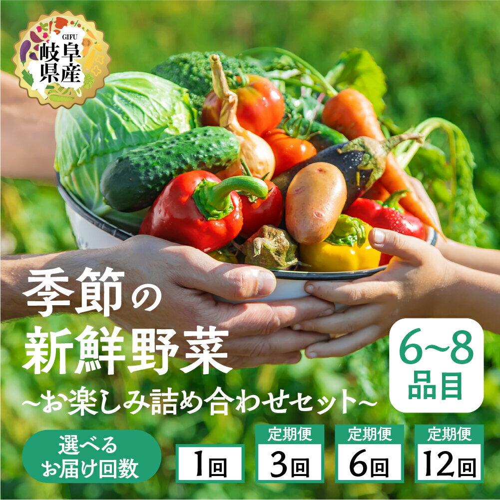 【ふるさと納税】季節の野菜セットA 6～8品目 選べる お届け回数 1回 3回 6回 12回 お届け 定期便 3か月 6か月 12ヶ月 品目おまかせ BBQ 春 夏 秋 冬 野菜 料理 自宅用 岐阜県産 本巣市 新鮮 やさい 数量限定 冷蔵 道の駅 織部の里 [mt1587] 8000円