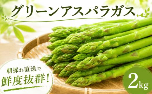 【6月発送開始】 アスパラガス 朝採れ Lサイズ 約2kg (約100g×20束) 夏芽 グリーンアスパラガス アスパラ あすぱらがす あすぱら 野菜 旬 新鮮 とれたて 農家直送 産地直送 国産 茨城 鉾田 ほこた