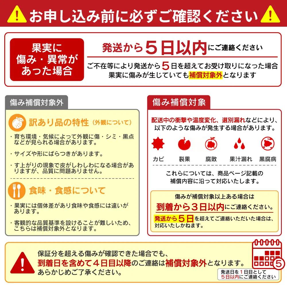 【先行予約：2026年12月中旬～発送】訳あり 甘夏 10kg くらもとファーム 愛媛県 愛南町